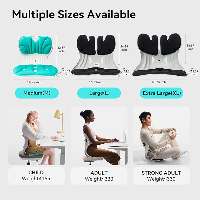 BKT Lumbar Support Seat Cushions Ergonomic Office Chair for Students Office Workers Nursing Mothers Long Sitting Outdoor Fishing Floor Chair (L-Black)