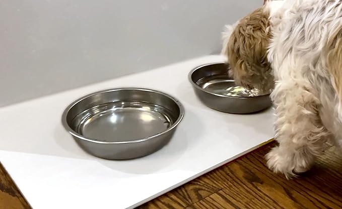 Magic Stone Ivory Stone Bath Mat, Diatomaceous Earth Shower Mat, Non-Slip Super Absorbent Quick Drying Bathroom Floor Mat, Natural, Easy to Clean (23 x 15.5 in)