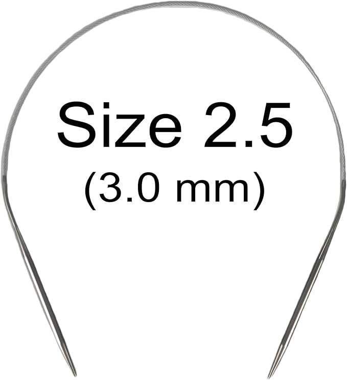 Size 2.5 Stainless Steel Circular Knitting Needles 16 Inch 3.0 mm Set Round Metal (Silver, 16 inch-2.5-(3.0mm))