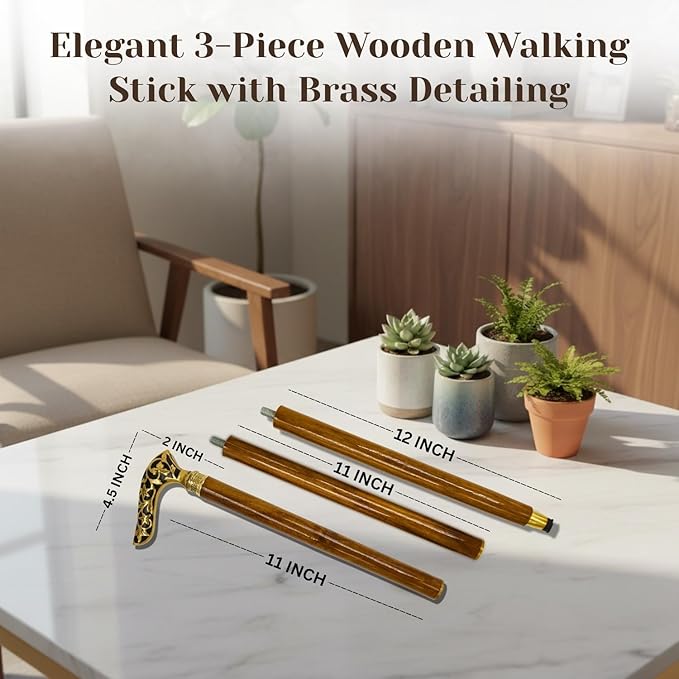 All Black Snake Handle Spiral Wooden Walking Cane