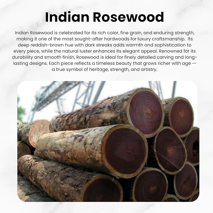 All Black Snake Handle Spiral Wooden Walking Cane