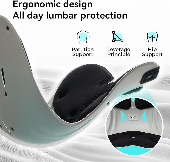 BKT Lumbar Support Seat Cushions Ergonomic Office Chair for Students Office Workers Nursing Mothers Long Sitting Outdoor Fishing Floor Chair (L-Black)